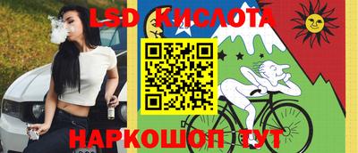 шишки Будённовск