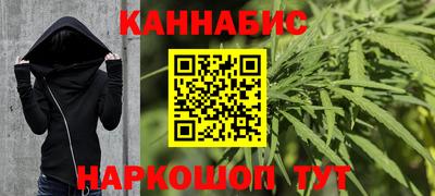 шишки Будённовск